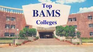 bams colleges admission counseling services at Rs 25 000 Sheet