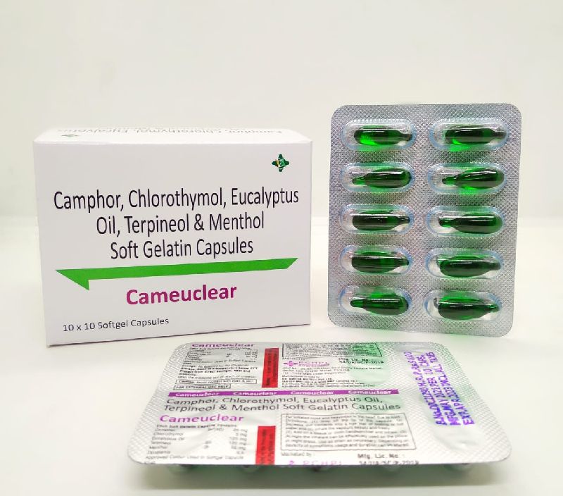 Camphor Chlorothymol Eucalyptus Oil Terpineol 1668830851 6631715 