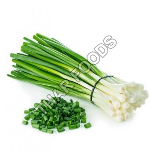 Organic Fresh Green Onion, for Human Consumption, Feature : Freshness, Natural Taste