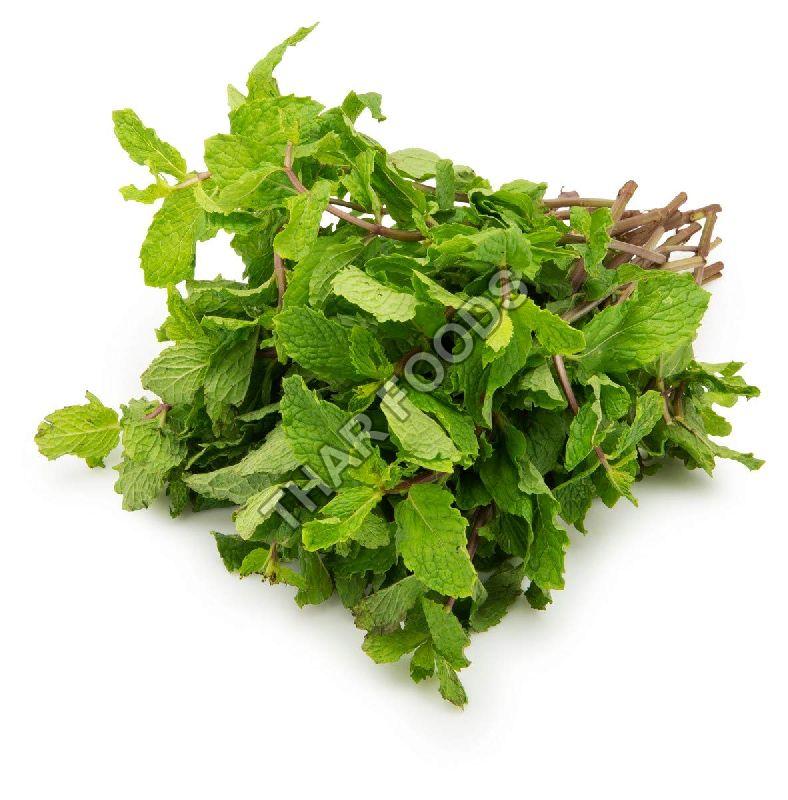 Organic Fresh Mint Leaves, Feature : Hygenically Packed
