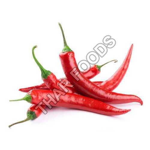 Organic Fresh Red Chilli, for Food, Making Pickles, Powder, Feature : Hygienic Packing, Purity