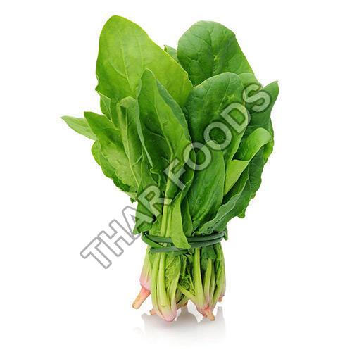 Fresh Spinach Leaves