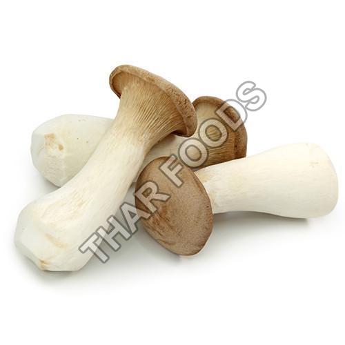 Organic King Oyster Mushroom, Color : White