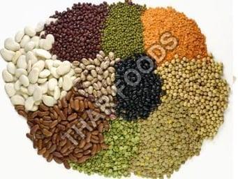 Organic pulses, for Cooking, Feature : Highly Hygienic