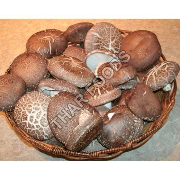 Organic Shiitake Mushrooms