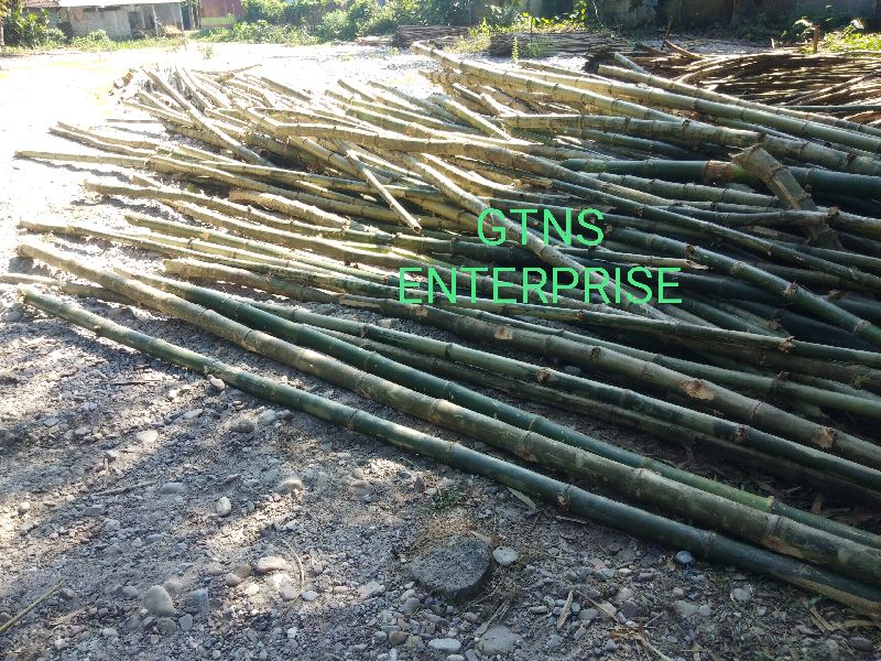 Cutting Pieces Bamboo