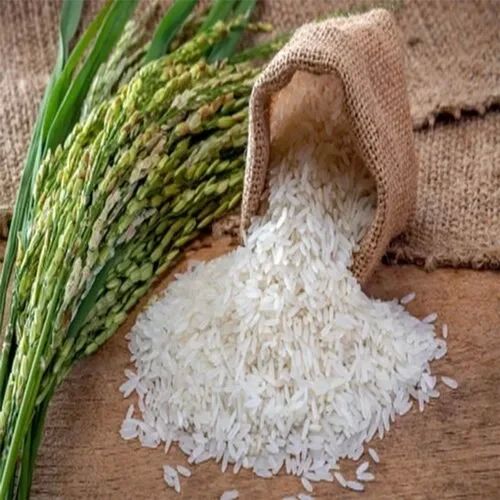 White Basmati Rice, Packaging Size : 10kg