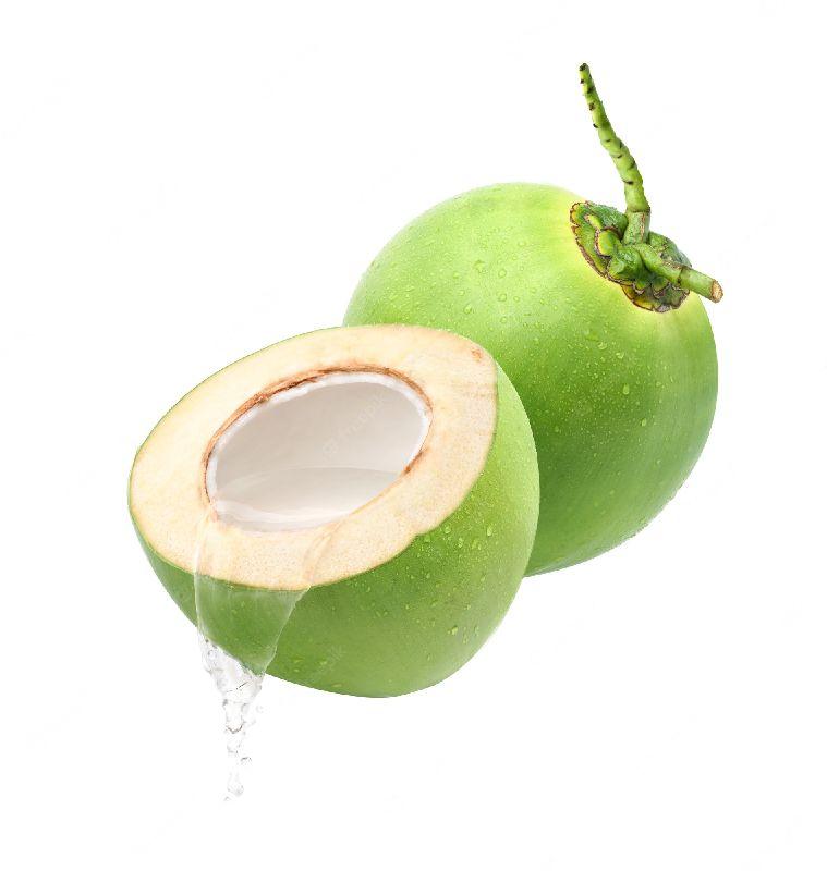 Organic tender coconut, for Free From Impurities, Good Taste, Packaging Type : Carton Box