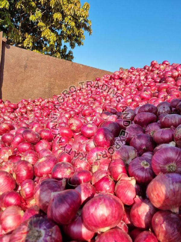 Fresh Red Onion