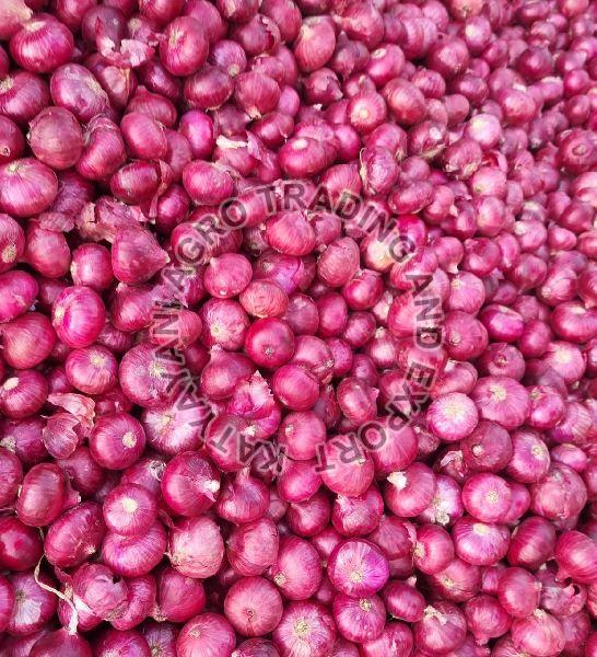 Fresh Red Onion