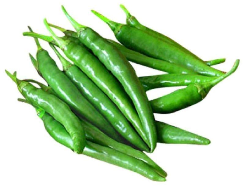 Natural Fresh Green Chili, for Human Consumption, Cooking, Home, Hotels, Packaging Size : 5kg