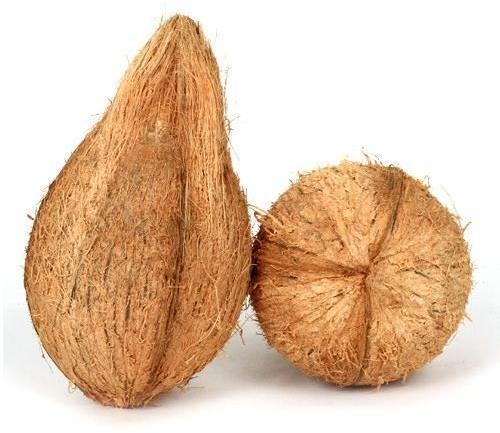 Semi Husked Organic Fresh Brown Coconut, for Good Taste, Packaging Type : Plastic Bag, Jute Bags