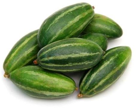 Organic Fresh Pointed Gourd, for Human Consumption, Packaging Size : 25kg
