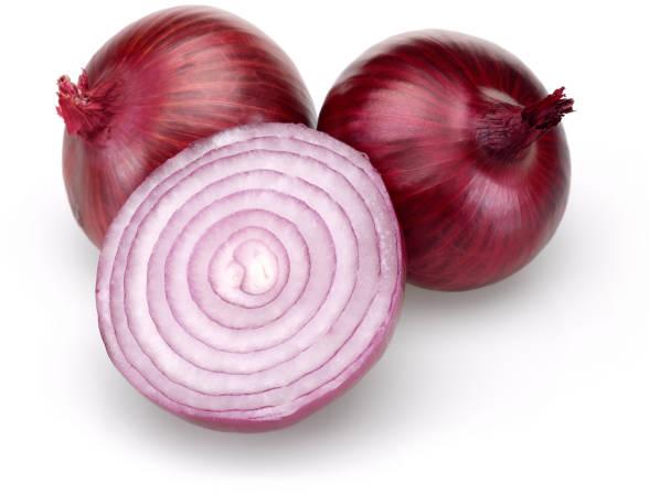 Fresh onion