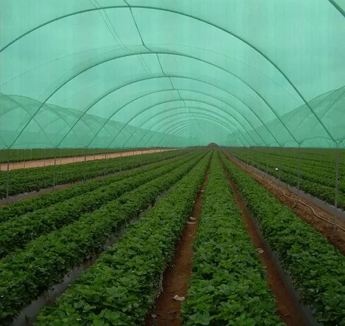 Square HDPE Plastic Green Agro Shade Net, for Nursery, Length : 12 m