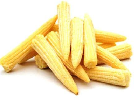 Organic Fresh Baby Corn, for Bakery, Cooking, Pizza, Snacks, Certification : FSSAI