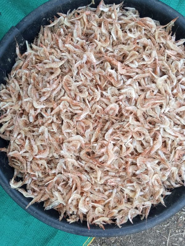dried prawns