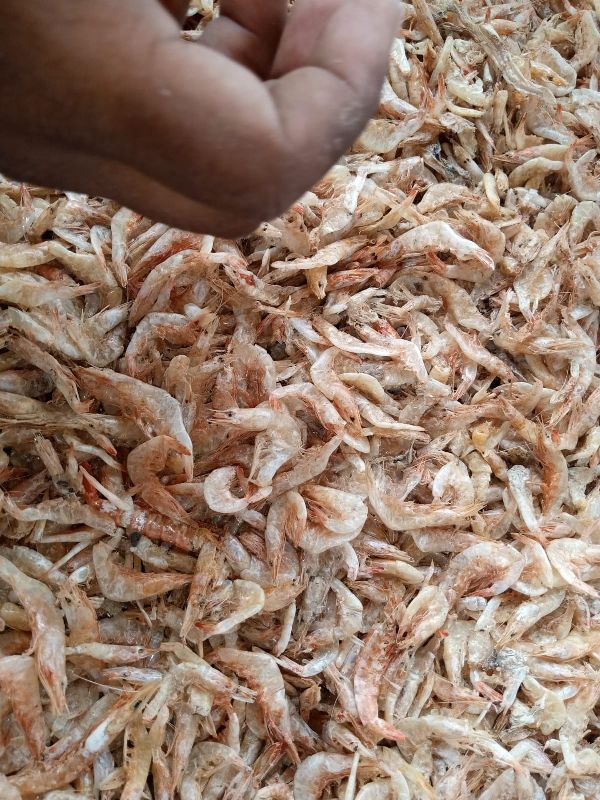 Jawala Dry Fish, for Food, Variety : Sea Bass