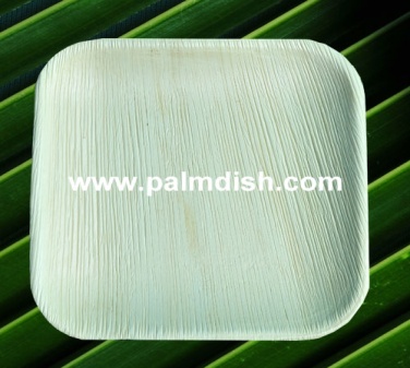 11 Inch Palm Leaf Square Platter