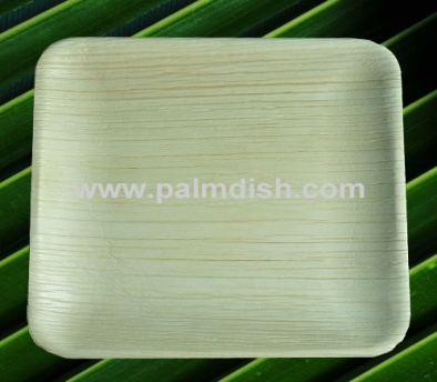 12 X 10 Inch Palm Leaf Rectangular Platter