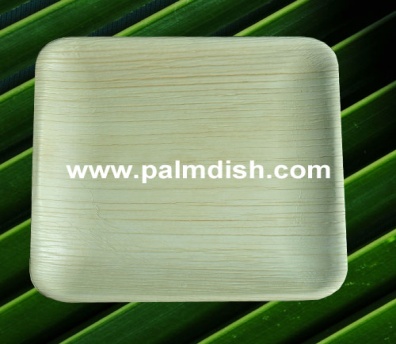 Arteca Palm Leaf  6 inch Square plate