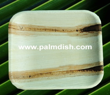 8.5 Inch Palm Leaf Square Platter, Purity : 99%