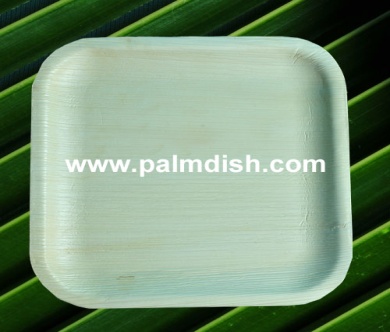 areca square plate - 8 INCH