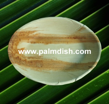 ARECA PALM LEAF SALAD BOWL