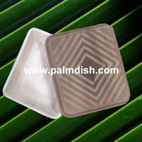 ARECA LEAF CONTAINER (SMALL), Shape : Rectangle