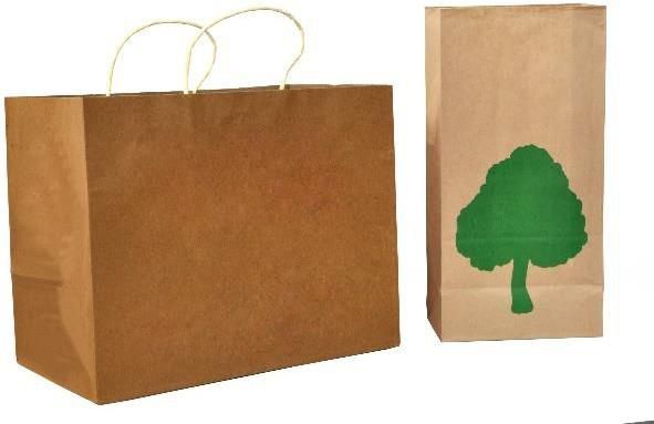 Twisted Handle Brown Paper Bags