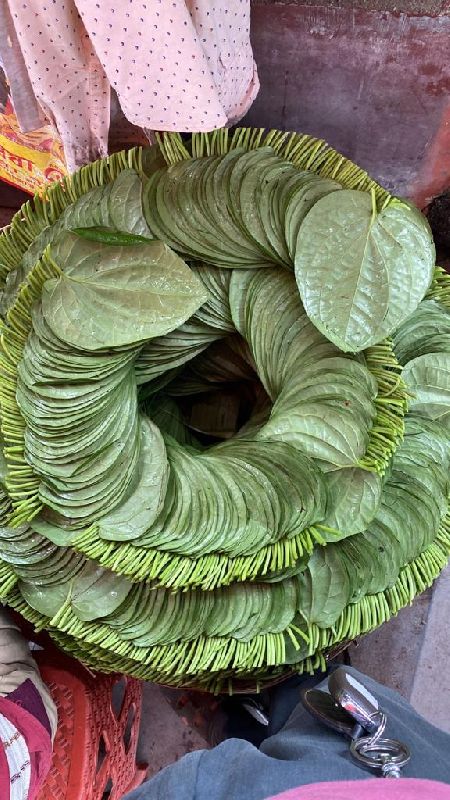 betel leaf