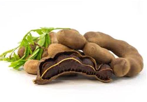 Tamarind Pods, for Cooking, Certification : FSSAI Certified