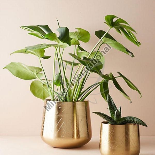 Polished Etched Brass Planter, Feature : Dust Free, Easy To Placed
