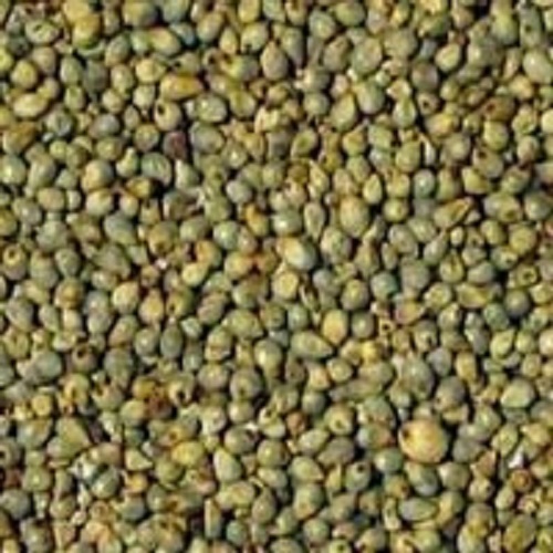 Organic Green Bajra Seeds, Style : Dried