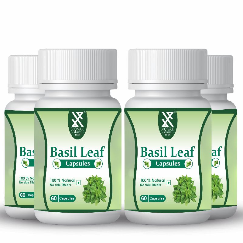 enhances immunity basil leaf capsules, for Supplement Diet, Depression