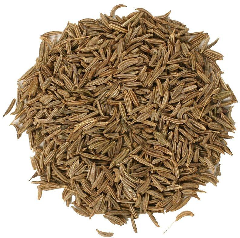 Natural Caraway Seeds, Grade Standard : Food Grade