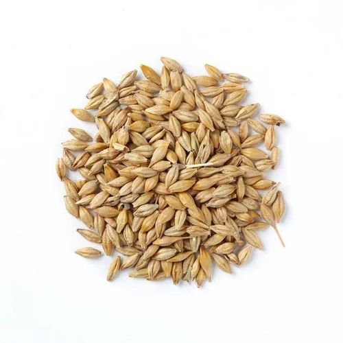 Organic barley seeds, Certification : FSSAI