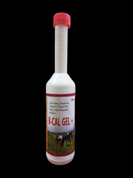 b - cal gel animal feed supplement