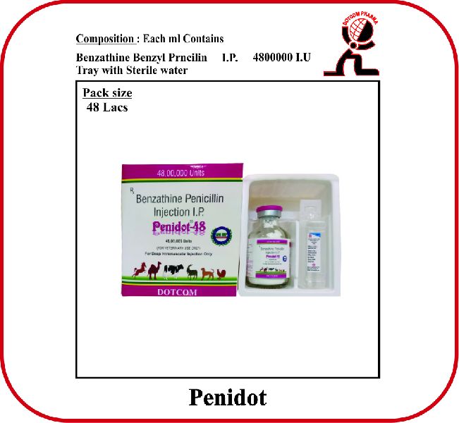 Benzathine penicillin dry injection