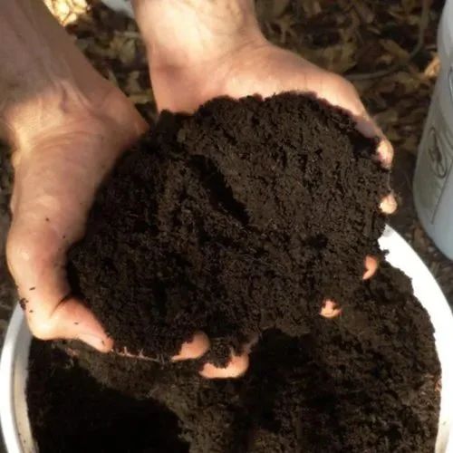 Super Vermicompost Fertilizer