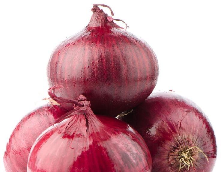 Natural red onion, for Cooking, Onion Size Available : Large