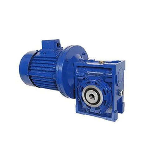 Manufacturer of Worm Geared Motor & Cast Iron Gear Box Speedo gear private limited, Ahmedabad