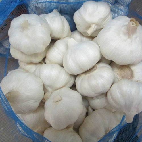 Organic fresh garlic, for Human Consumption, Packaging Type : Giuuny Bags