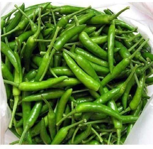 Organic Fresh Green Chilli, for Human Consumption, Packaging Size : 25kg