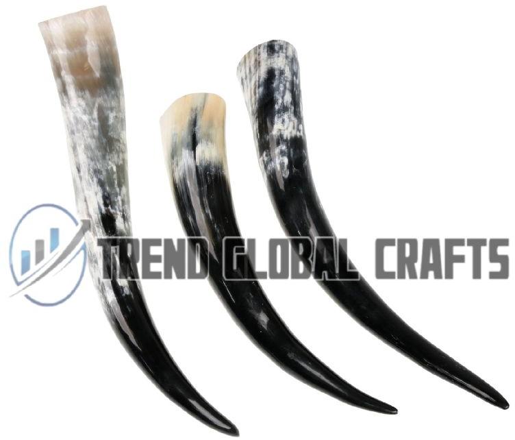 200-400gm Buffalo large drinking horn, Feature : Water Proof