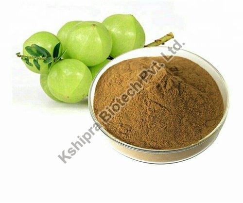 GMO Amla (Phyllanthus emblica) Extract, for Office