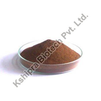 Ashoka Extract, Packaging Type : HDPE Drum