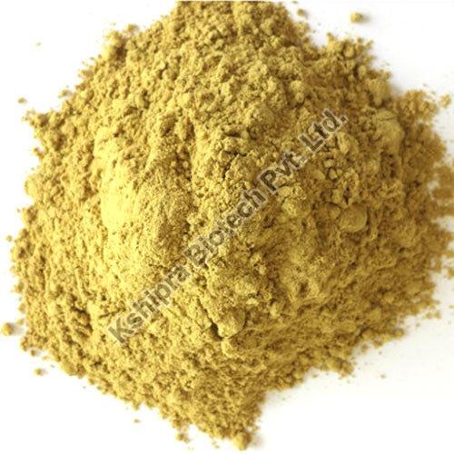 Organic Asparagus Racemosus Shatavari Extract, Grade : Food Grade