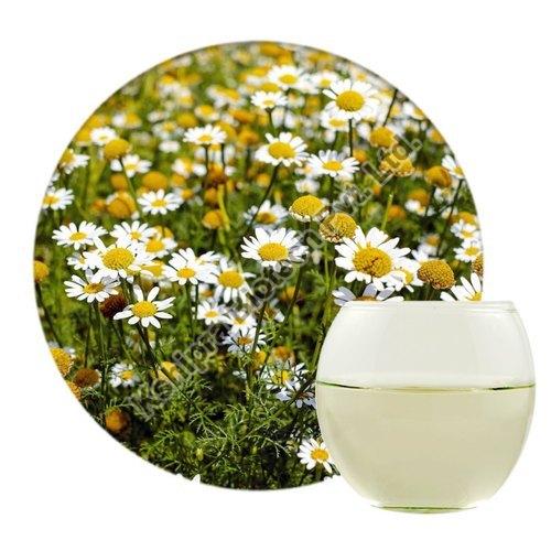 Chamomile Extract, Packaging Type : HDPE Drum