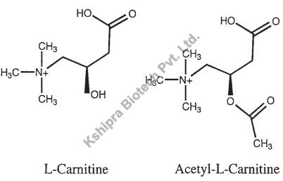 L- Carnitine Powder, Packaging Type : HDPE Drum